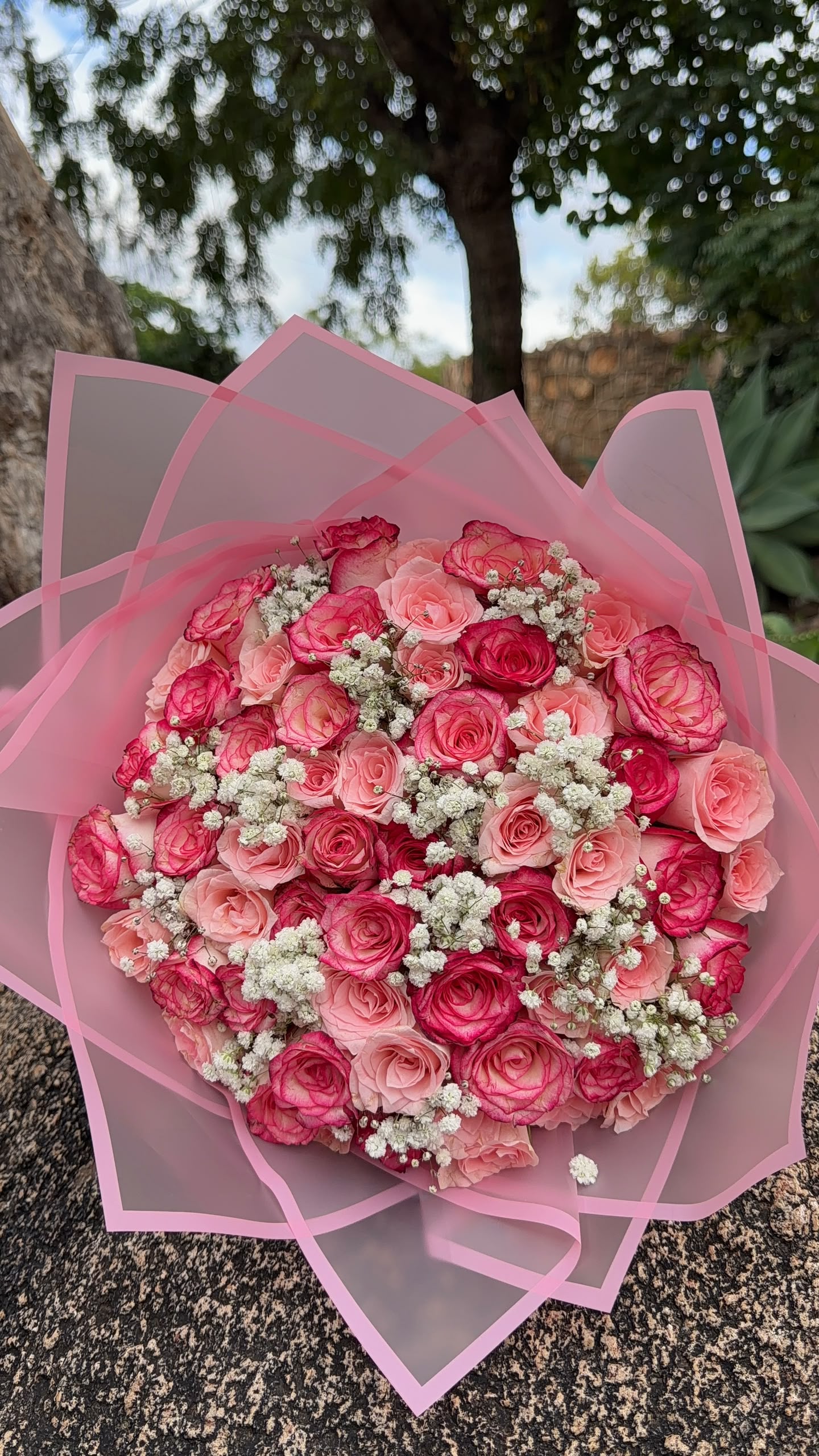 Red and pink rose bouquet wrapped in blush paper