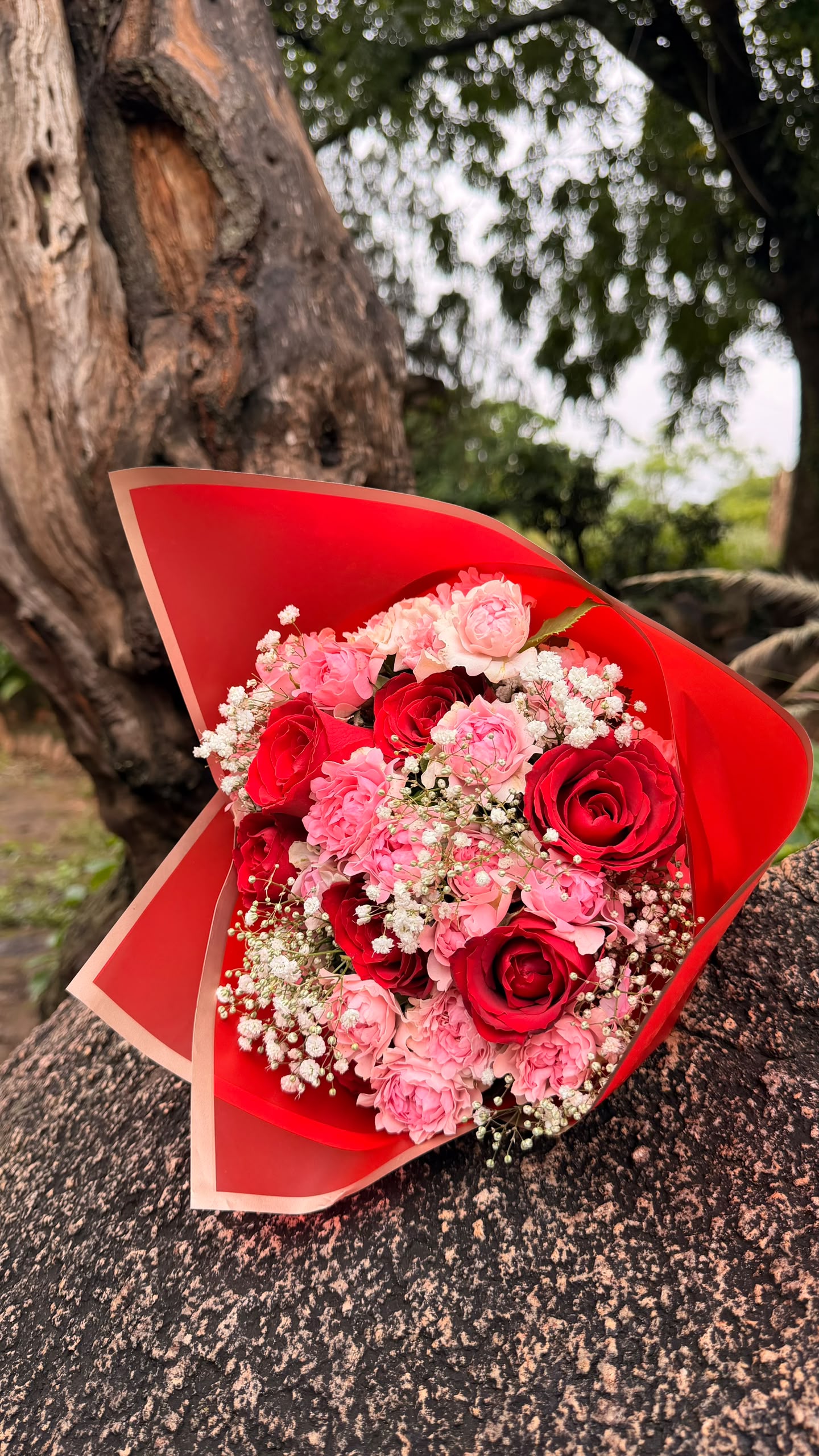 Red roses arranged in a round gift box with ribbon