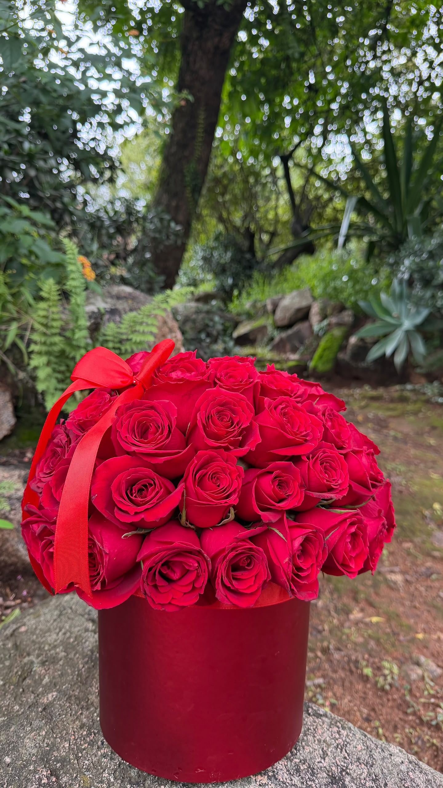 Rosa Grande — a large round bouquet of 100 pink roses with baby's breath